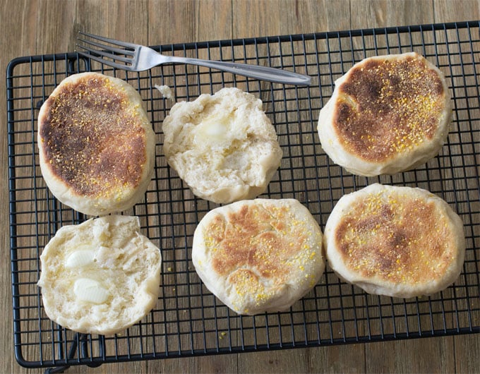 Homemade English Muffins