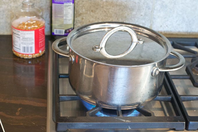 How To Cook Popcorn In A Pot On The Stove - TheCookful