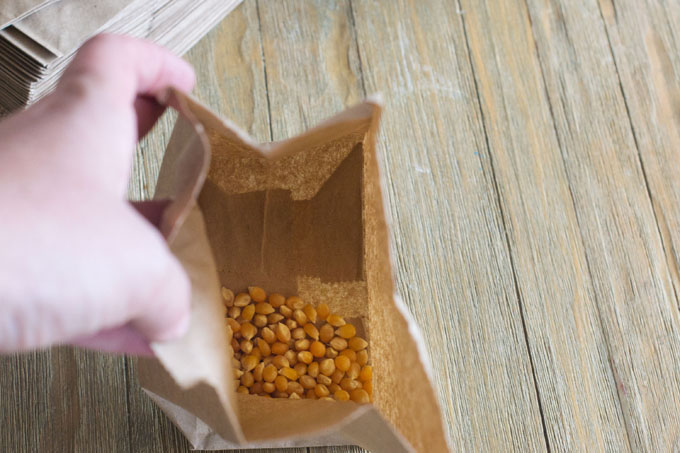 Put kernels into a regular paper lunch bag.