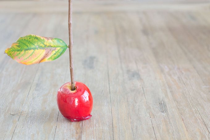 Using branches in candy apples