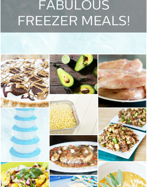 Introducing Freezer Meals