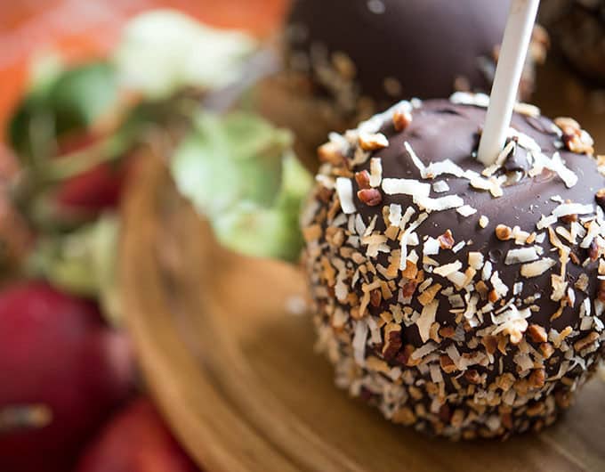 Chocolate covered apple covered with toasted coconut shreds. The apple has a white stick sticking out of it and is sitting on a round wooden board. You can see another chocolate covered apple in the background as well as some red apples and green leaves.