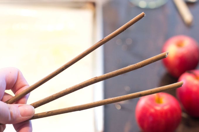 Using decorative branches in candy apples