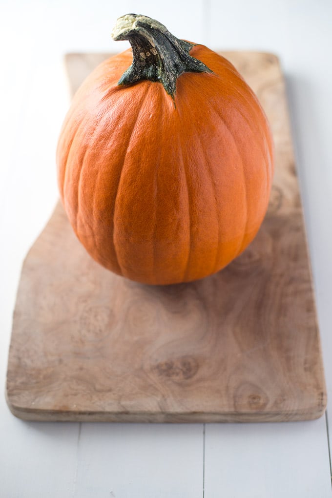 Pumpkin sitting on a countertop.