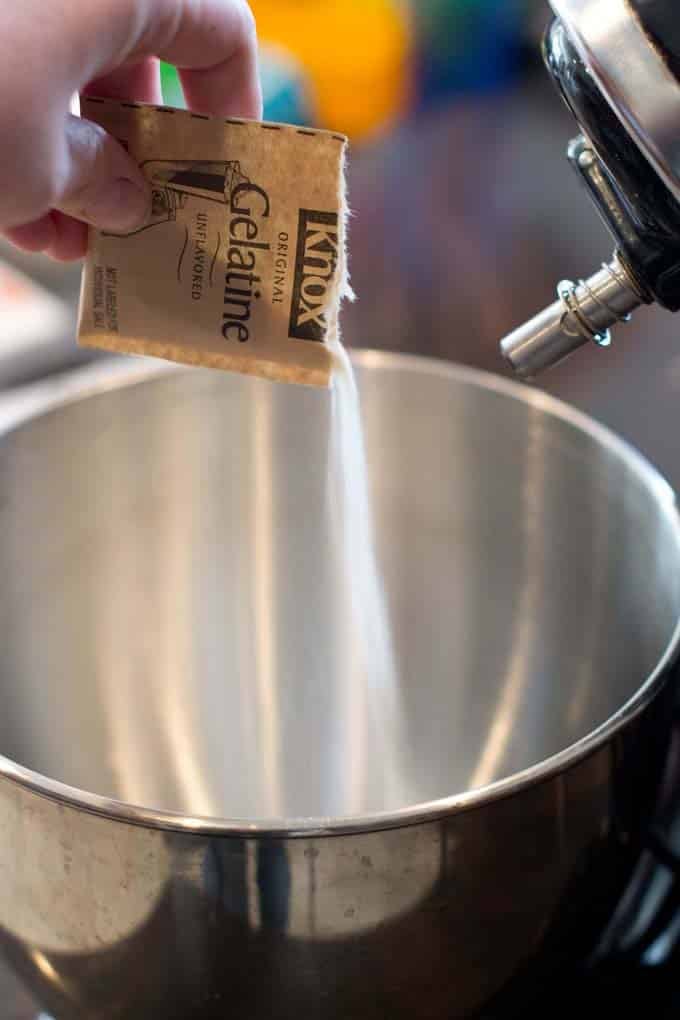 Add gelatin to stand mixer bowl.