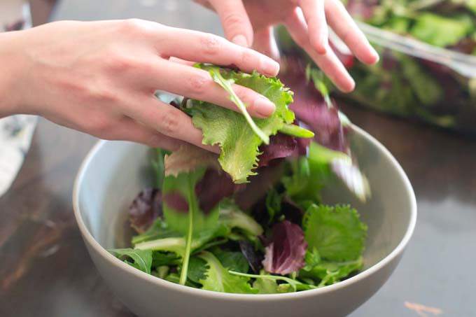Adding spring mix greens to salad bowl.