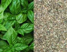 Learn what types of recipes are best for dry basil and what types need fresh