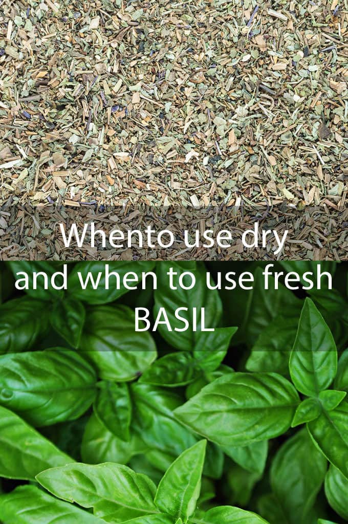 Fresh Vs Dried Basil Tips And Amounts Thecookful