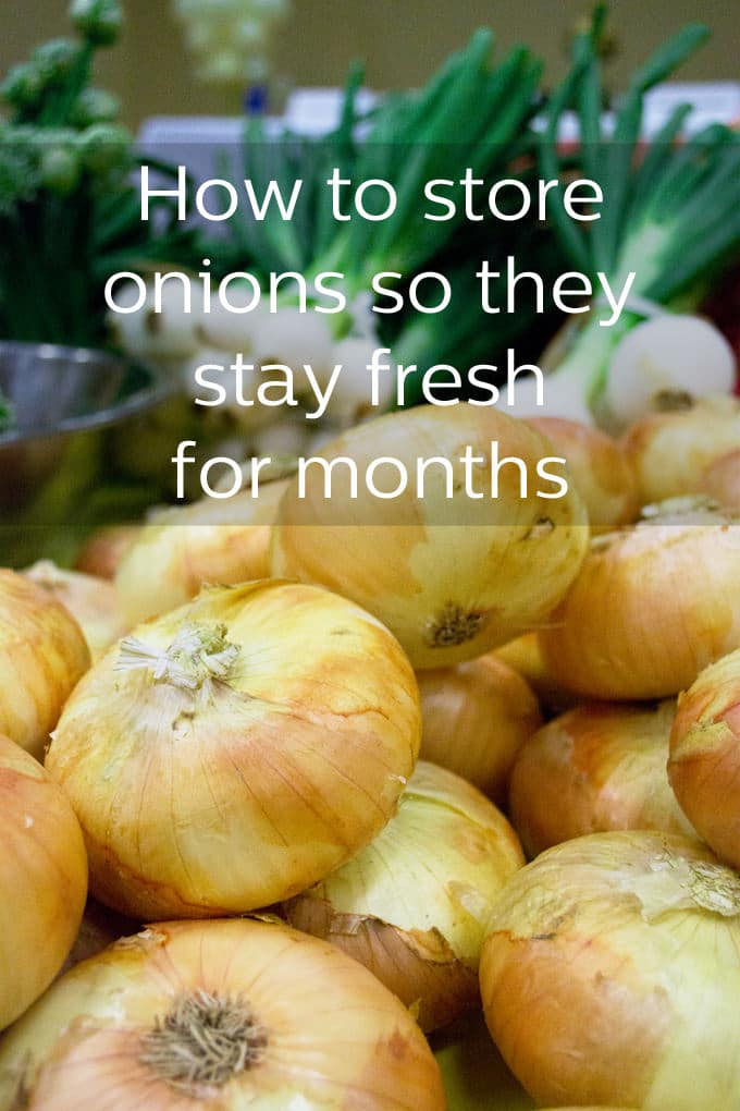 How To Store Onions So They Stay Fresh For Months The Cookful