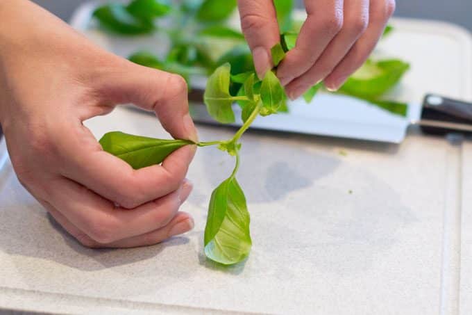 Removing basil from the stem