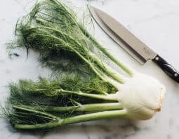 How To Cut Fennel