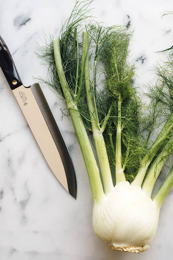 Raw Fennel Bulb with a knife on a countertop.