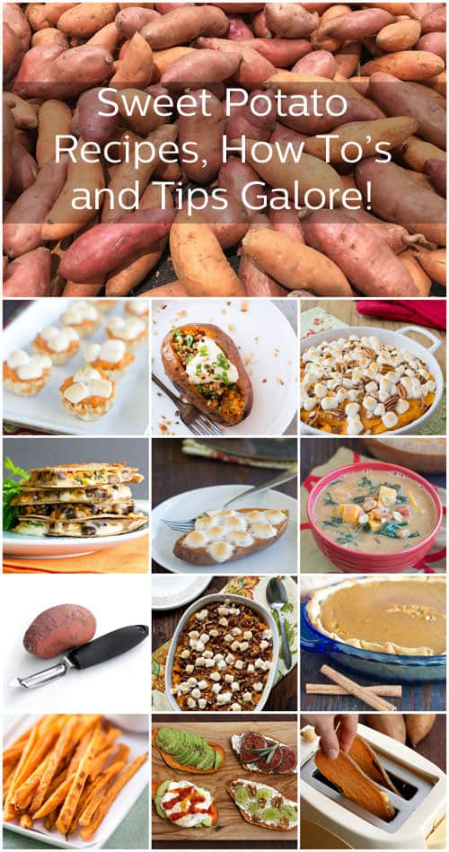A grid of different pictures of sweet potato recipes; the text overlay across the top reads, "Sweet Potato Recipes, How To's and Tips Galore!