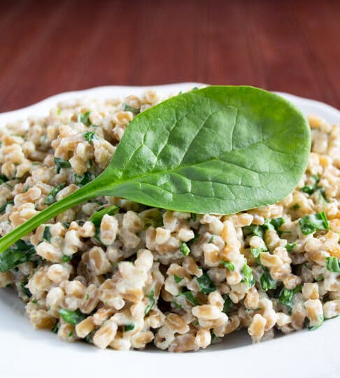 Farro is so healthy and good for you that you can splurge a bit when eating it. This recipe is made creamy with cream cheese. Yum!