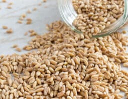 Learn how to make farro using three different methods, stove-top, oven and slow cooker.