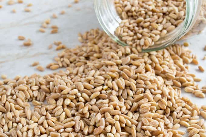 Learn how to make farro using three different methods, stove-top, oven and slow cooker.