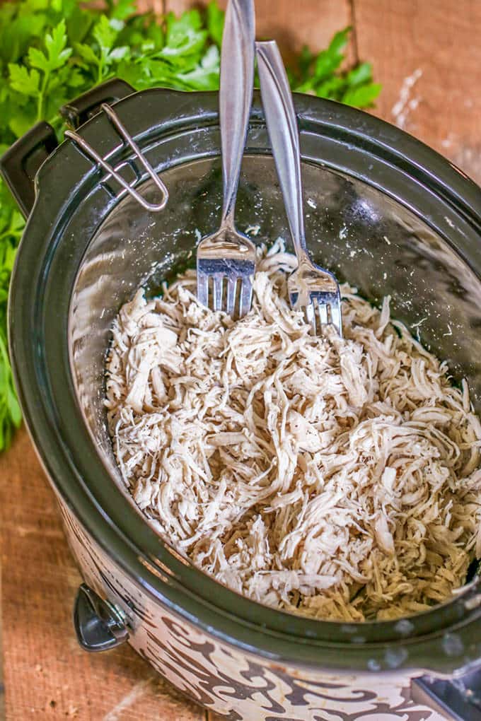 Forget one-trick recipes! Versatility rules the kitchen with the easiest shredded chicken recipe you'll ever find.