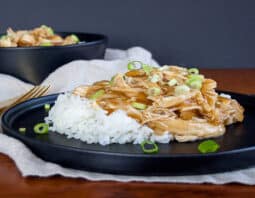 Slow Cooker Chicken Teriyaki