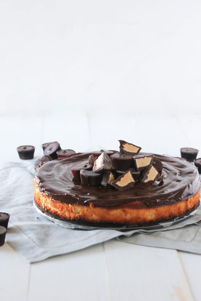 Cheesecake covered in chocolate frosting with chopped up peanut butter cups piled in the middle. The cheesecake is sitting on the pan it was baked on, on grey napkins on a white table with a white background. There are whole peanut butter cups on the table around the cake.