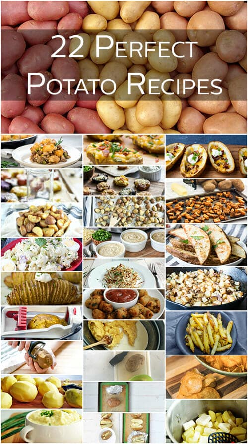 22 Best Potato Recipes grid of pictures of different recipes made with potatoes; the top picture is a bunch of different colored potatoes with the text overlay that reads, "22 Perfect Potato Recipes".