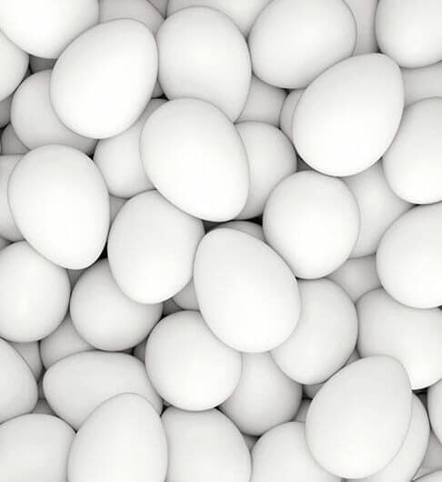 Eggs 101