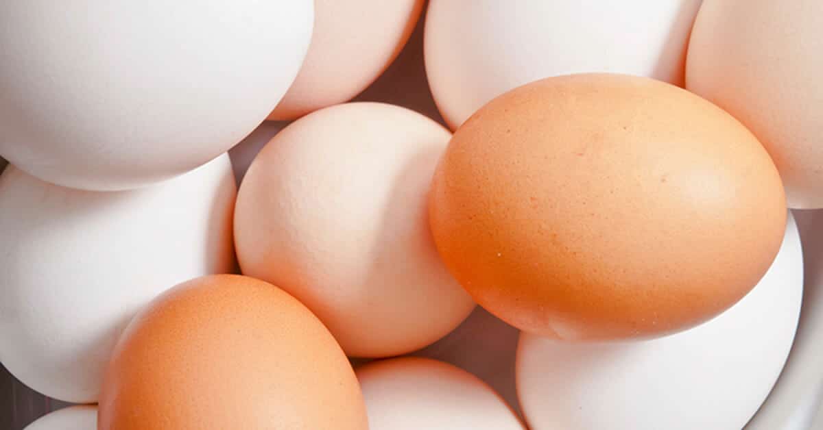 Everything You’ve Ever Wanted to Know About Eggs - TheCookful