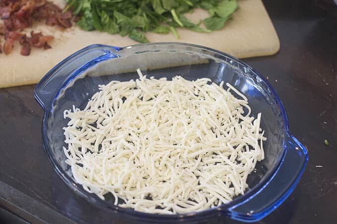 Shredded cheese on the bottom of a glass pie dish.