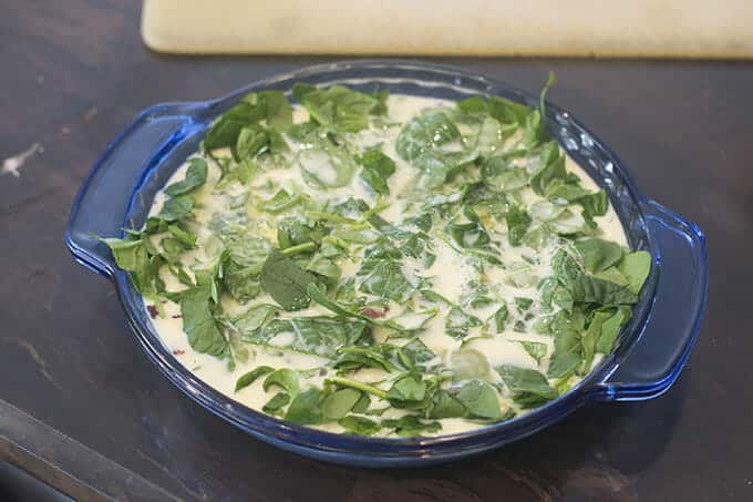 Crustless quiche with spinach ready to go in the oven.