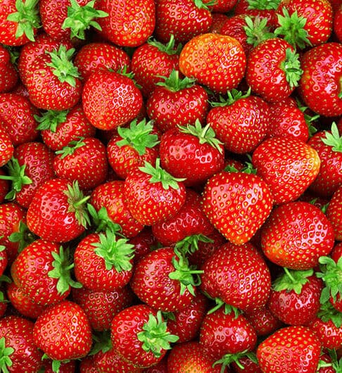 Our newest series starts today. It's all about strawberries. Let's bite in and get fresh with so many amazing recipes and tips all about scrumptious strawberries.