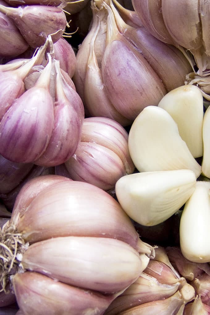 Garlic 101! Our Newest Series is Out!