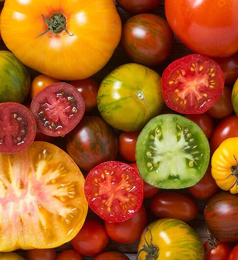 Tomatoes 101