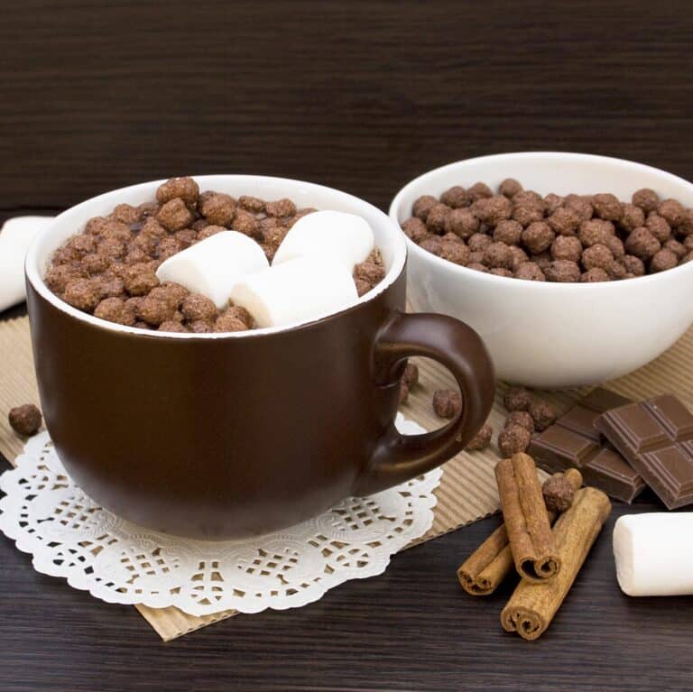 brown mug of hot chocolate with cocoa puff and marshmallows