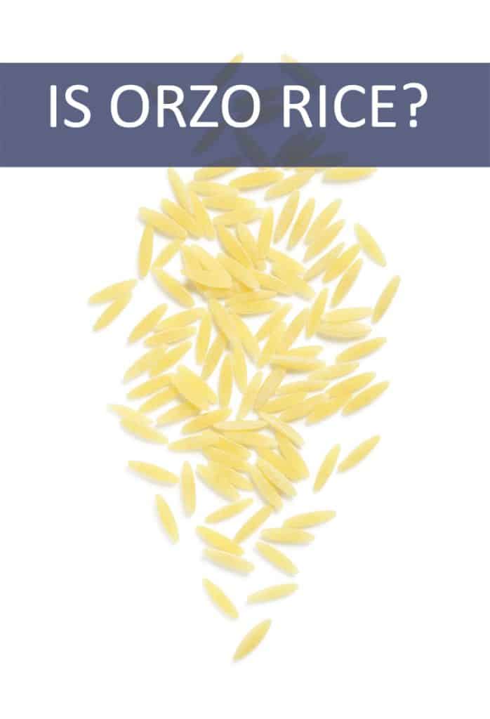 Is Orzo Rice?