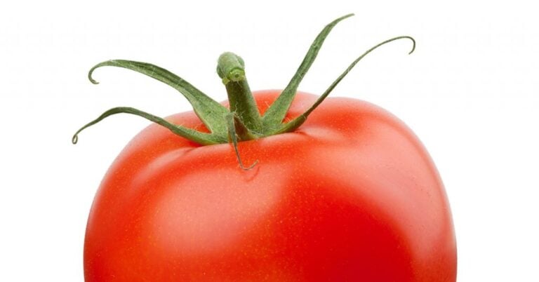 Are Tomatoes Vegetables?
