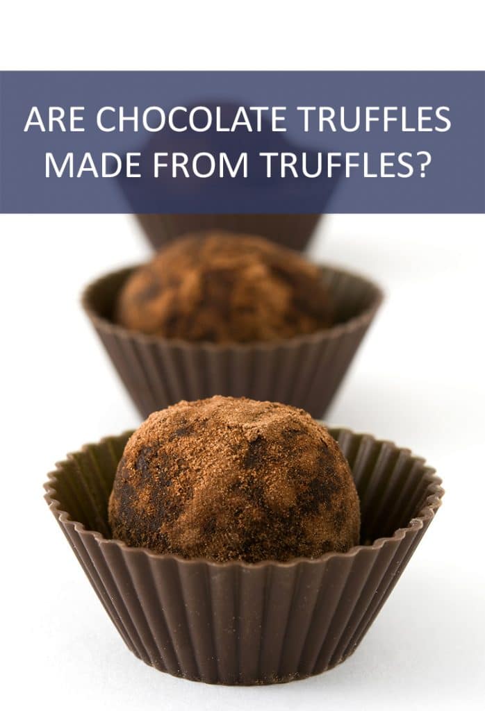 Are chocolate truffles actually made from truffles? Does that mean this popular candy is a fungus?