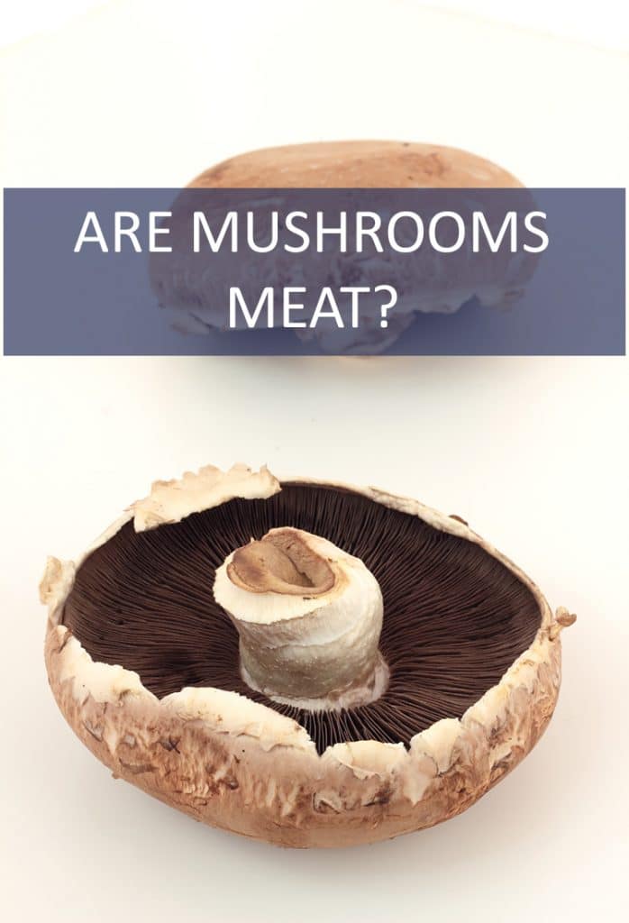 Are Mushrooms Meat The Cookful