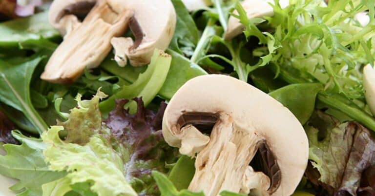 Are Mushrooms Vegetables?