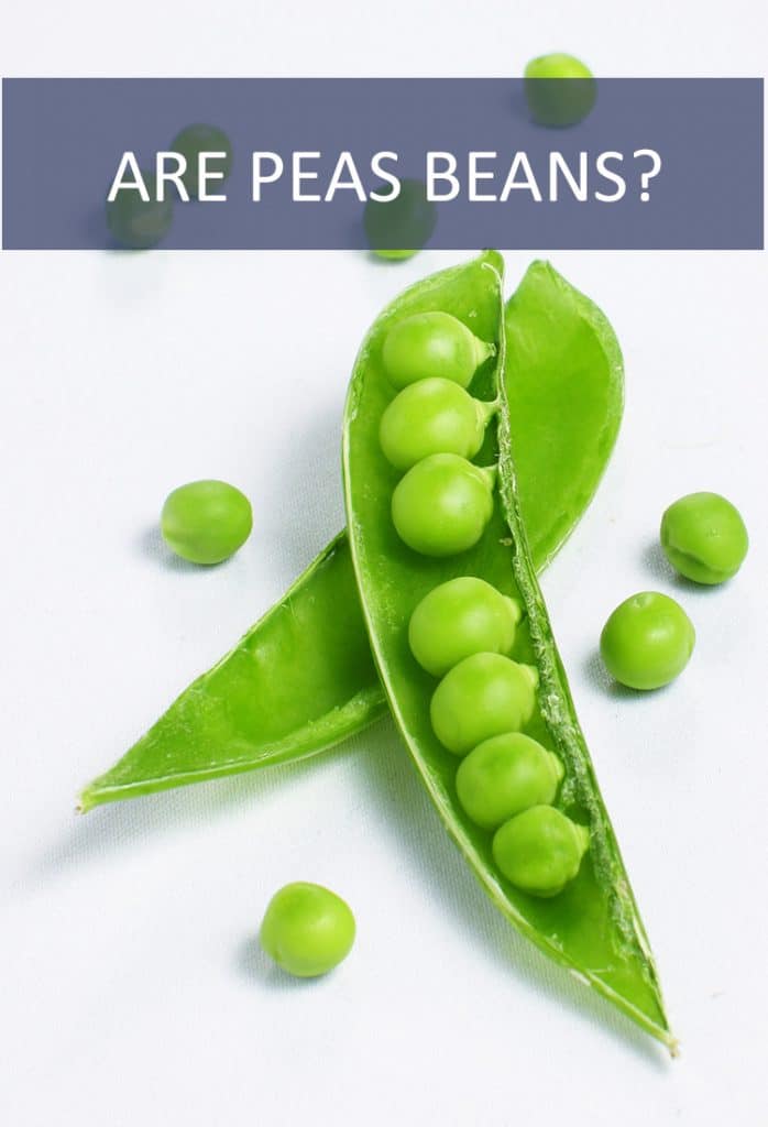 Many people mistake beans and peas. Are they the same thing? Do peas belong to the bean family?