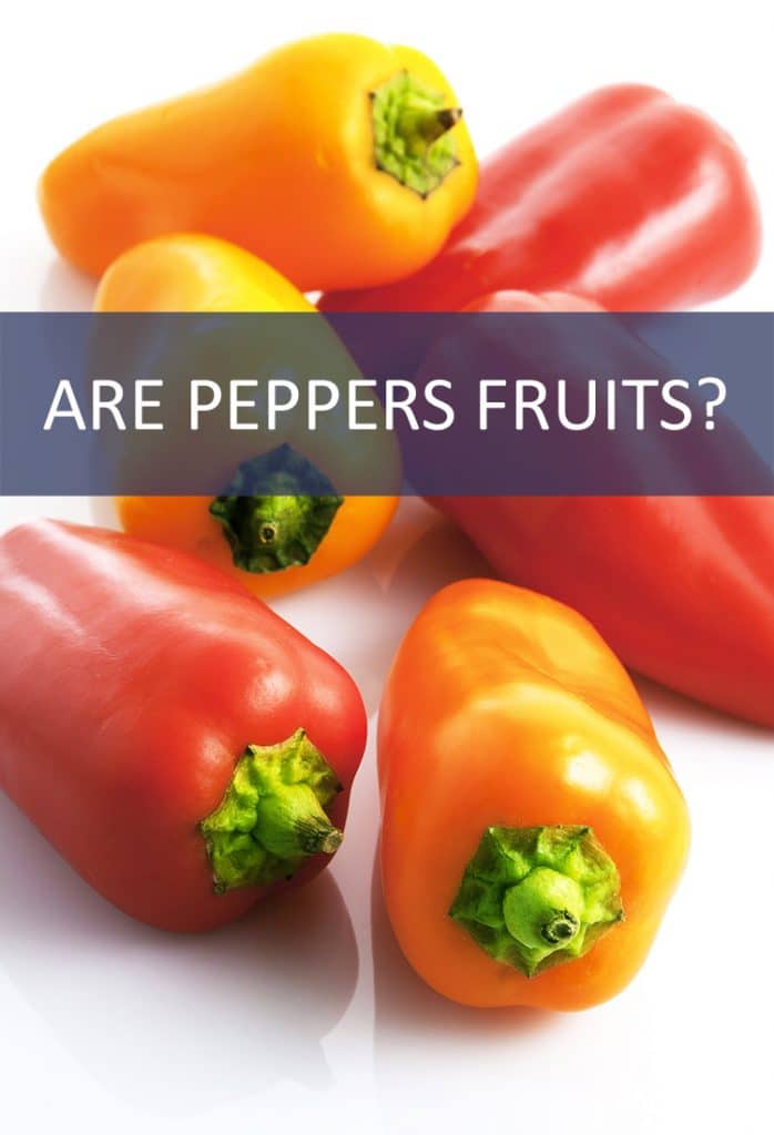 Are Peppers Fruits?