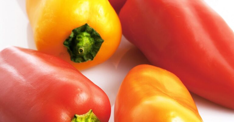 Are Peppers Fruits?