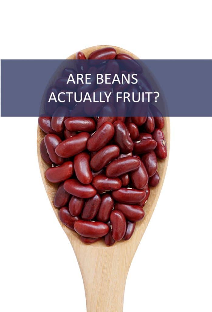 Are Beans Fruit?