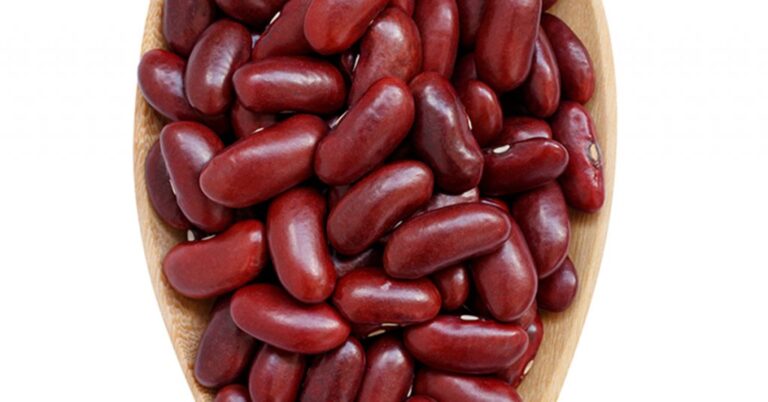Are Beans Fruit?