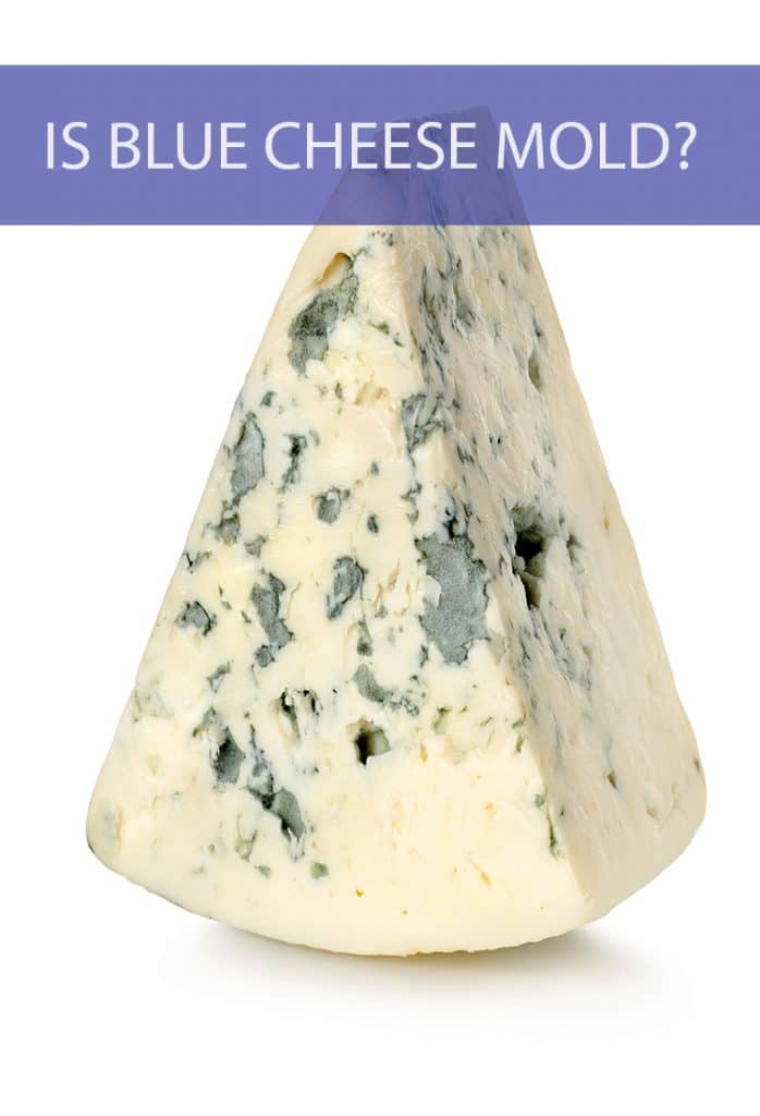 blue cheese mold