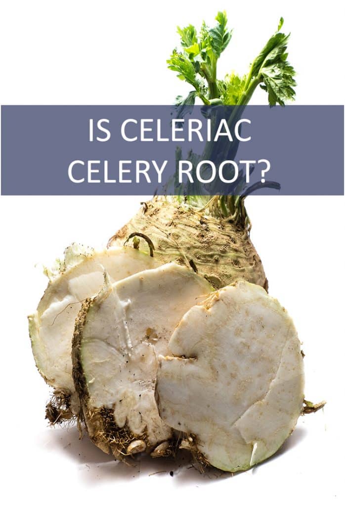 Is Celeriac Celery Root?