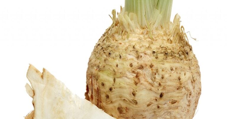 Does Celery Root Taste Like Celery?