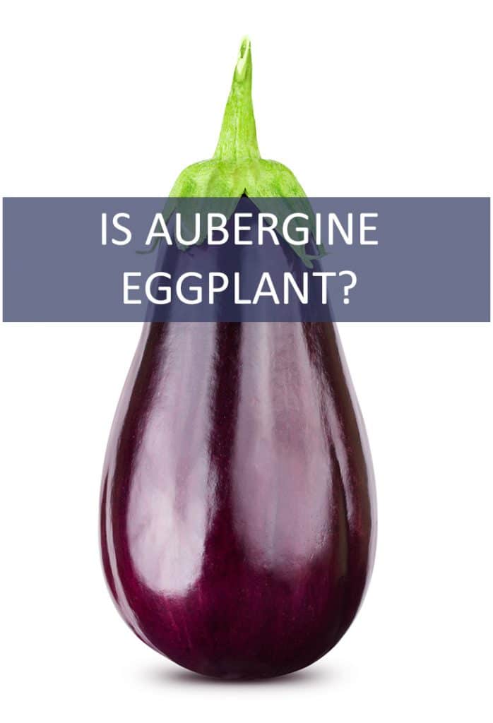 Eggplants and Aubergine look exactly the same. They taste exactly the same. Wait…are they the same?