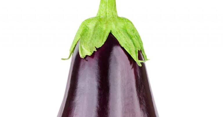 Are Aubergine and Eggplant the Same Thing?