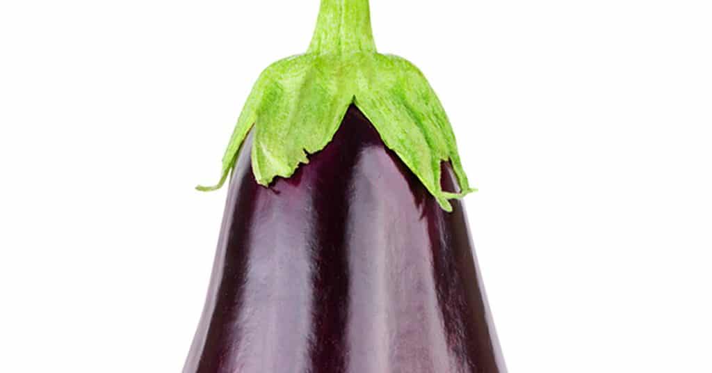 Are Aubergine And Eggplant The Same Thing The Cookful