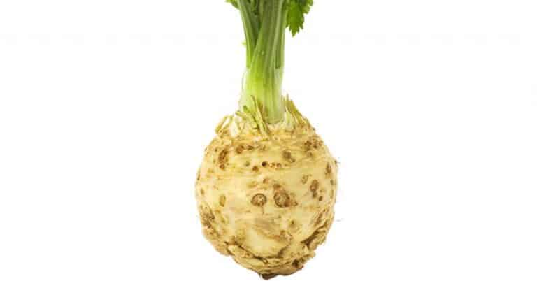 Is Celery Root the Root of Celery?