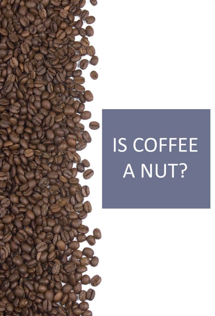 Coffee beans might be called “beans”, but are they actually nuts? Where do coffee beans come from? How does one classify this vital component to many people’s morning routine?